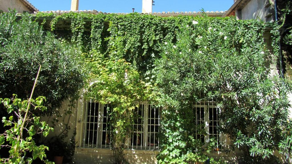 Maison D'Hotes La Boca Sommières Rom bilde